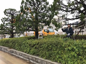 IMG_0898.jpg