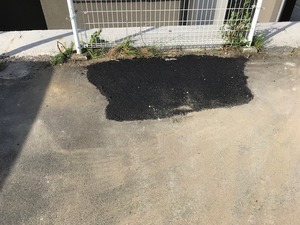 IMG_1314.jpg