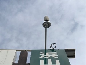 IMG_2499.jpg